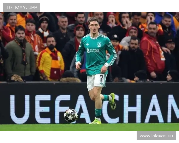 维尔茨:从组织核心到终结参与者的数据解析 维尔茨:从组织核心到终结参与者的数据解析