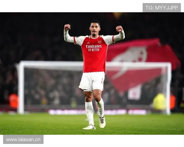 萨卡 vs 马丁内利:阿森纳双翼的不同分工 萨卡 vs 马丁内利:阿森纳双翼的不同分工