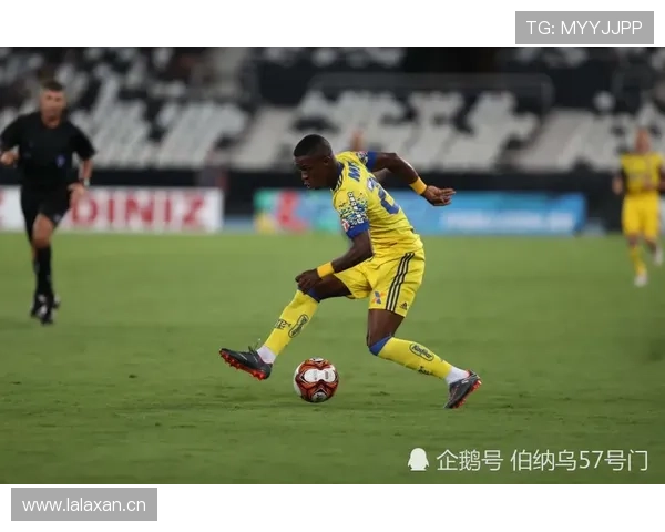 维尼修斯：从弗拉门戈天才到皇马巨星的崛起解析